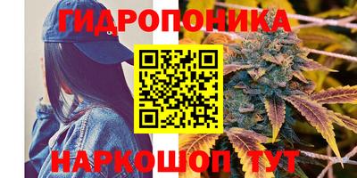 скорость mdpv Кандалакша